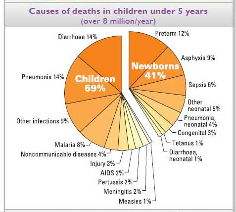 Chart of causes of death before age 5.