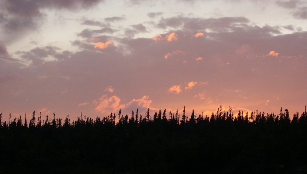 Purple and peach sunset above a black border of black spruce.