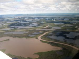 Intertwined rivers and ponds on Mackenzie Delta, seen from air