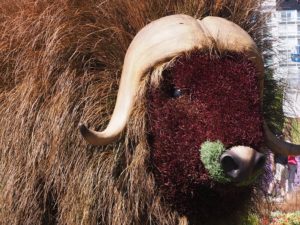 Muskox statue as floral or horticultural art.