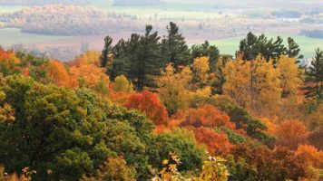 Fall colours in the Ottawa River Valley