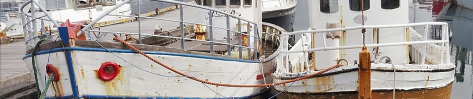 Fishing boats, Reykjavik harbour